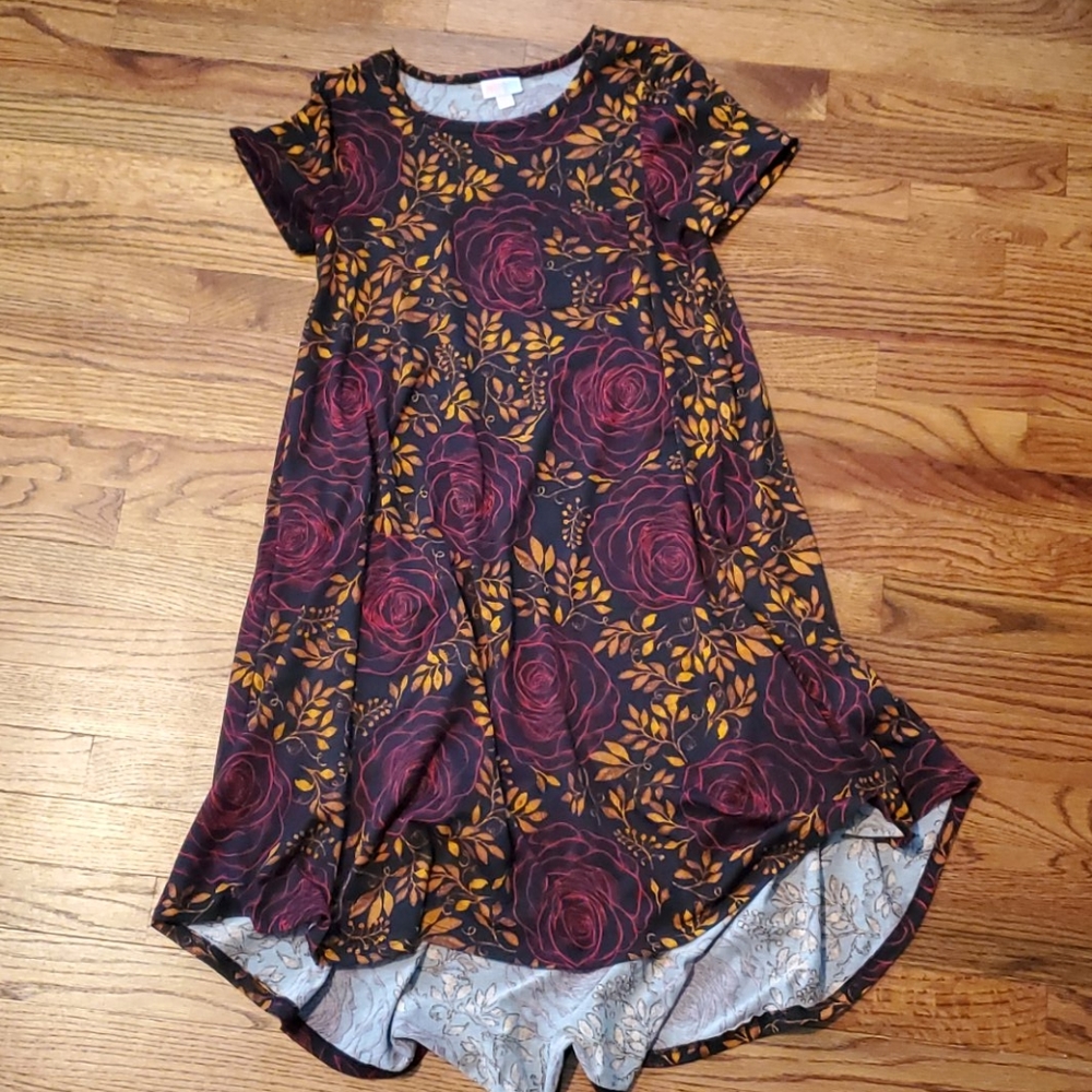 XXS LulaRoe Carly
